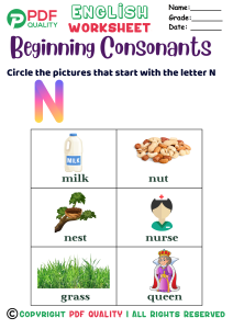 Beginning Consonants with the letter N