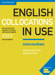 Rich Results on Google's SERP when searching for 'English Collocations in Use Intermediate'