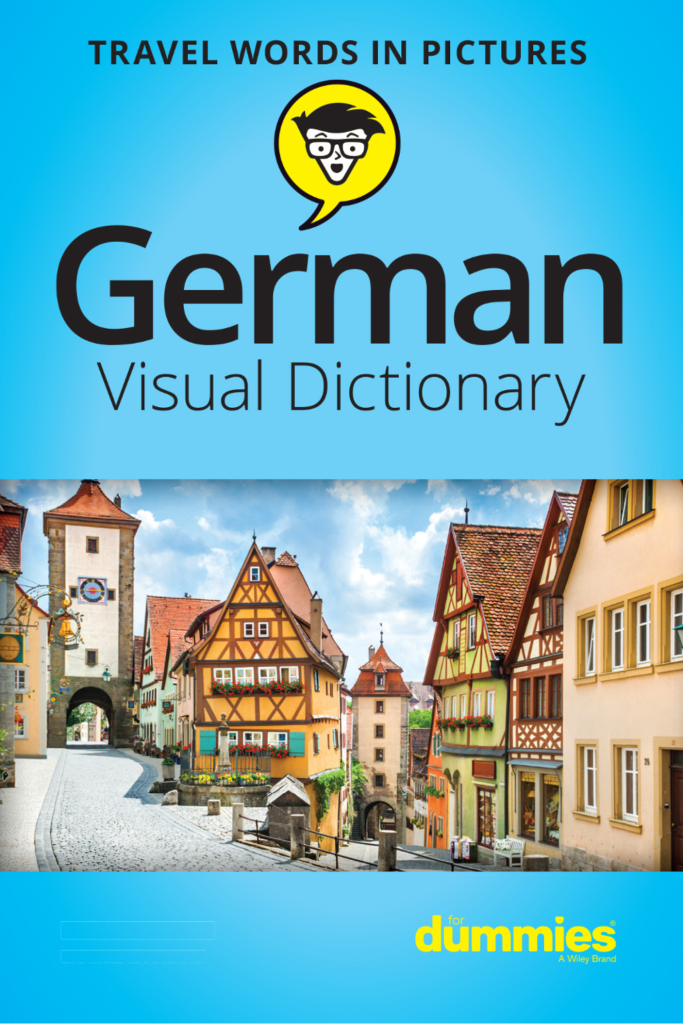 Rich Results on Google's SERP when searching for 'German Visual Dictionary for Dummies Book'