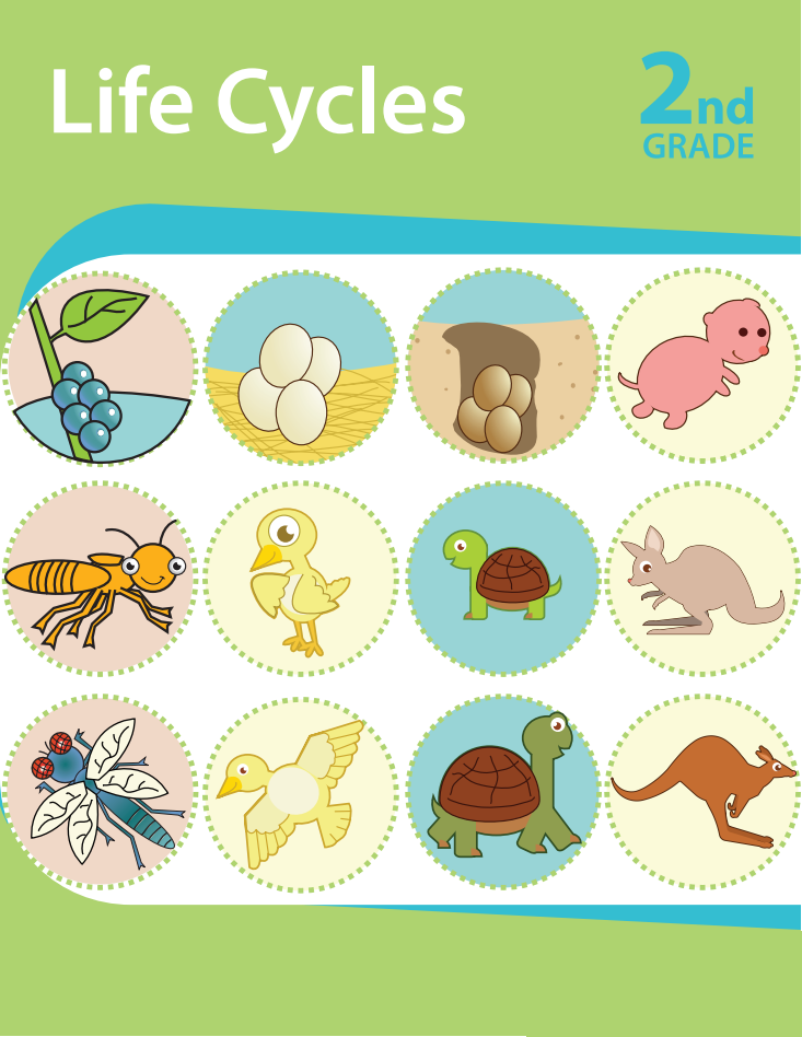 life-cycles-workbook