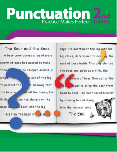 punctuation-practice-perfect-workbook